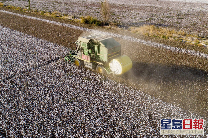 外交部發言人宣布就新疆問題對美國、加拿大有關人員和實體實施制裁。AP圖片