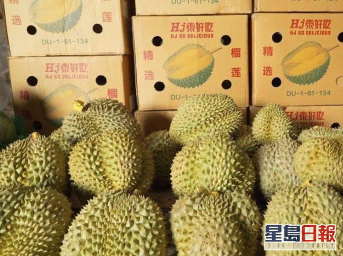 8人涉嫌泰國走私超萬噸榴蓮被捕 案值6.6億人民幣。(網圖)