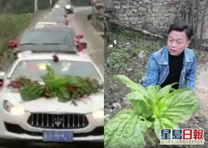 贵州新郎的花车饰物掉落,他临时以路边大白菜顶替。网图。