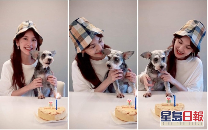 楊丞琳今日在網上為年老愛犬Yumi歡度15歲生日。