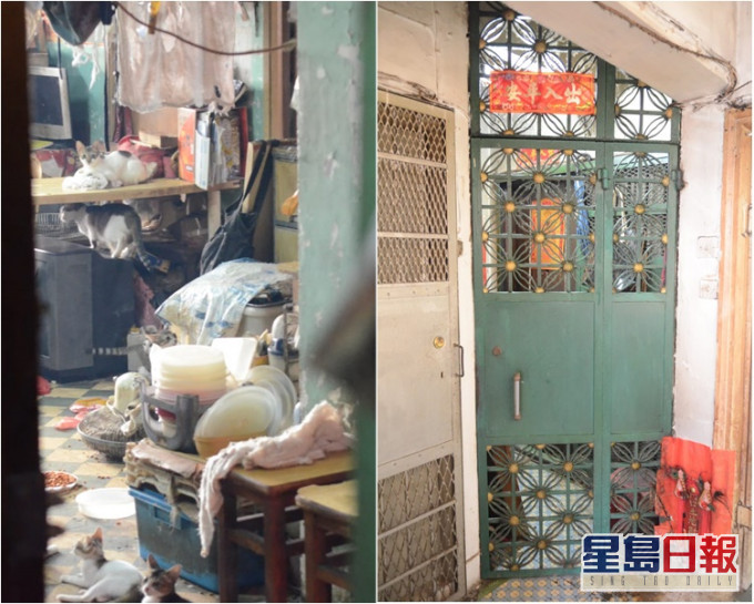 一度出走家猫所住劏房。