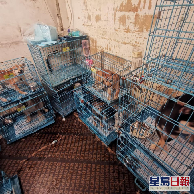 網上流傳狗狗被困細籠。網圖