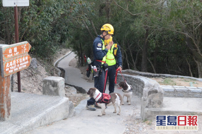 搜救犬协助救援。