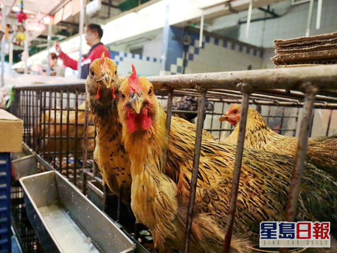 本港暂停进口越南广义省禽肉及禽类产品。资料图片