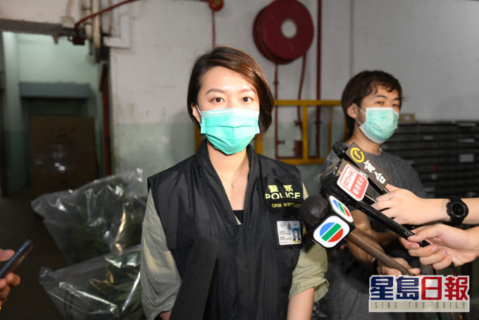 張家穎指警方拘捕兩名越南籍男子,涉嫌種植大麻及襲警。