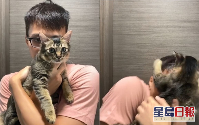 直擊RABU襲擊吳業坤,另RABU後日會絕育,老竇表示好擔心。