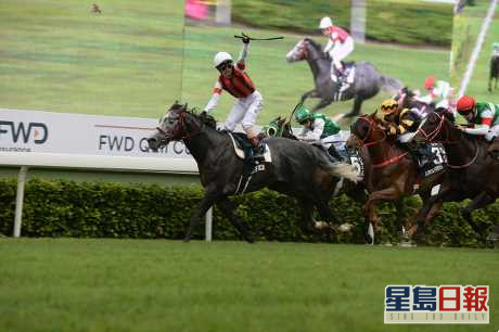 當全球大部分馬場停擺之際,香港仍可「馬照跑」(資料圖片)