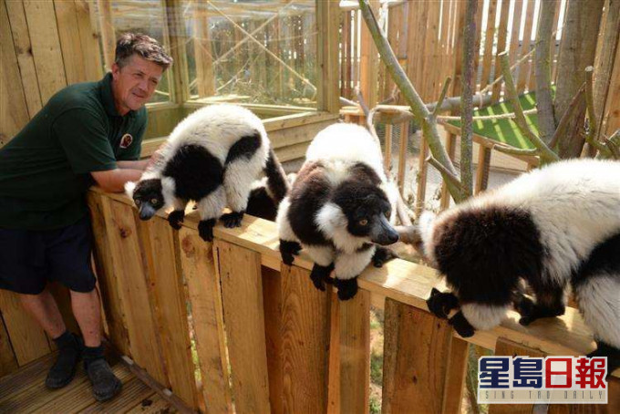 Andy Cowell經營一個小小的動物園。網圖