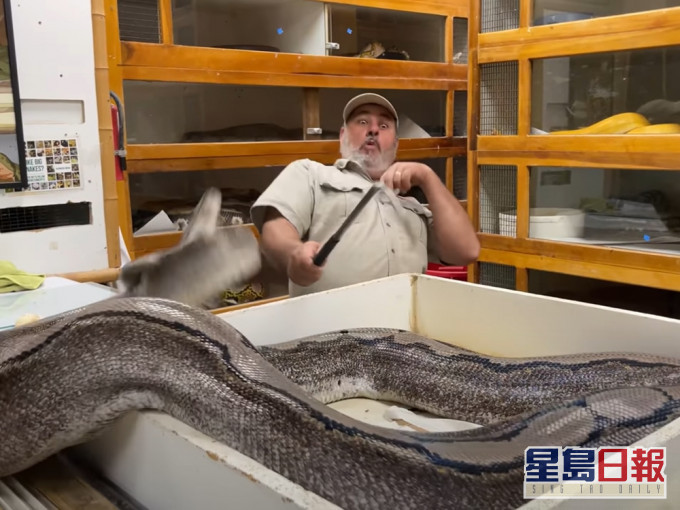 蟒蛇突然伸頭攻擊園長。影片截圖