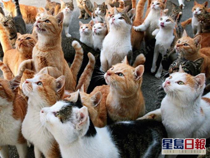 網圖。