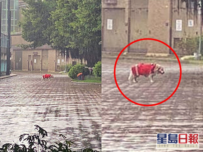 Mei Foo 美孚 FB