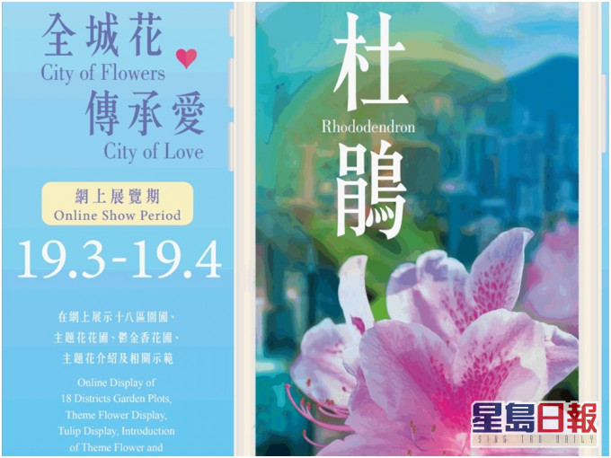 今年的香港花卉展覽以杜鵑花為主題花。