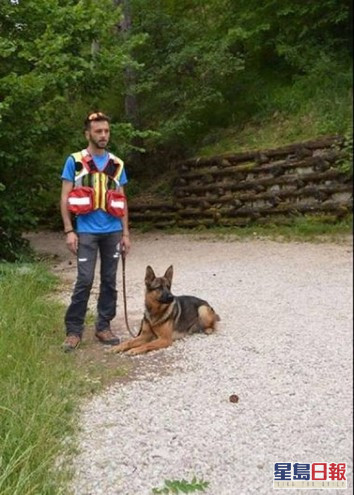 意大利地震搜救英雄犬遭毒殺民眾震怒促嚴懲兇手 國際 即時 星島日報