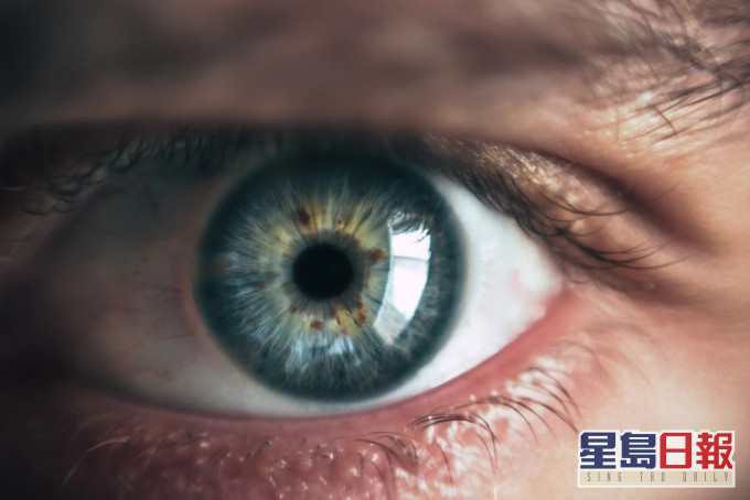 示意图