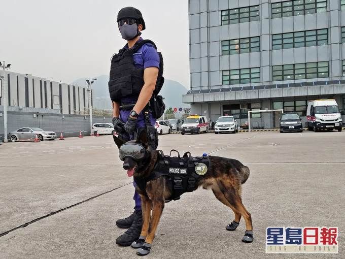 警犬配备护目镜、护耳罩及保护鞋。