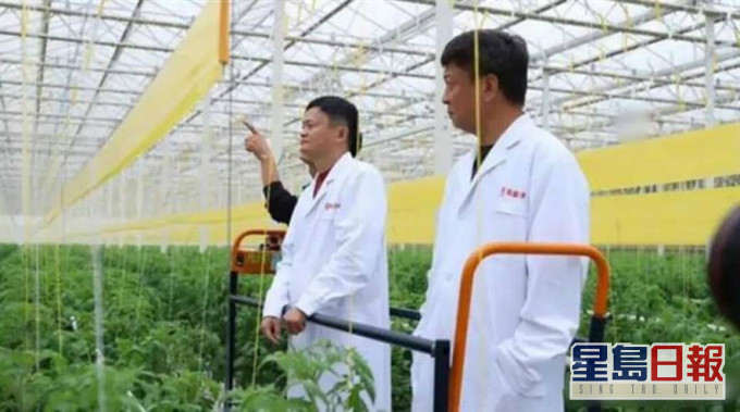 馬雲正聽着工作人員講解。互聯網圖片