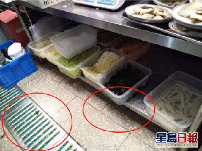 湖南衞視主播杜海濤創立的火鍋品牌「辣鬥辣」加盟店,則被投訴火鍋湯菜中有蒼蠅。網圖