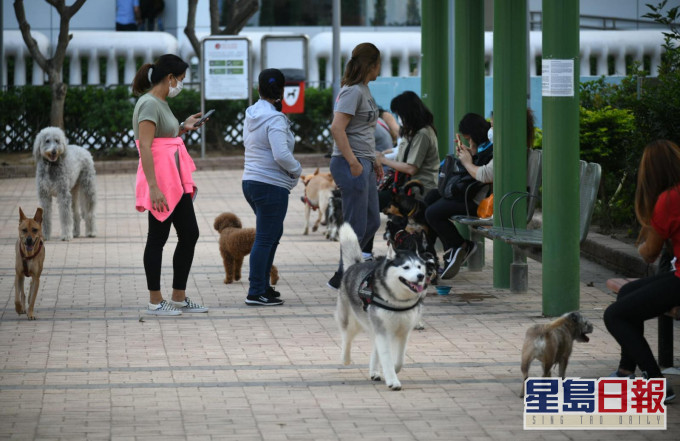 何栢良呼籲有養寵物人士冷靜,不要採取沒幫助的行動,應做好家居衞生。