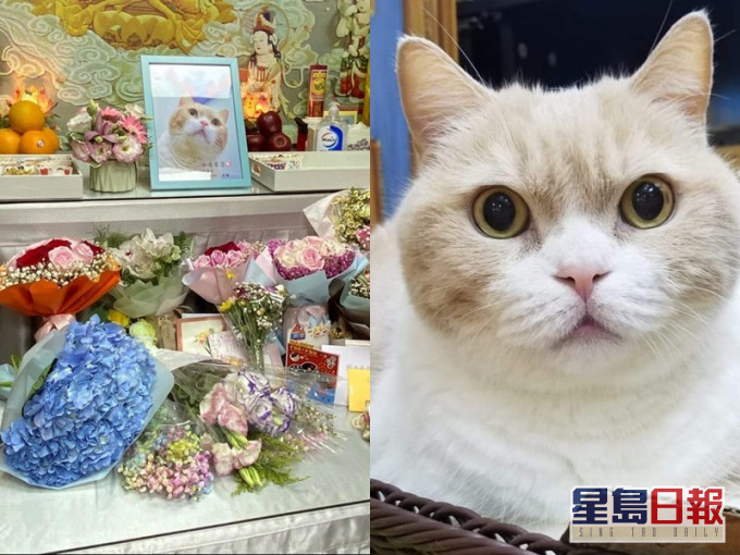 忌廉哥离世时已届14岁高龄。FB图