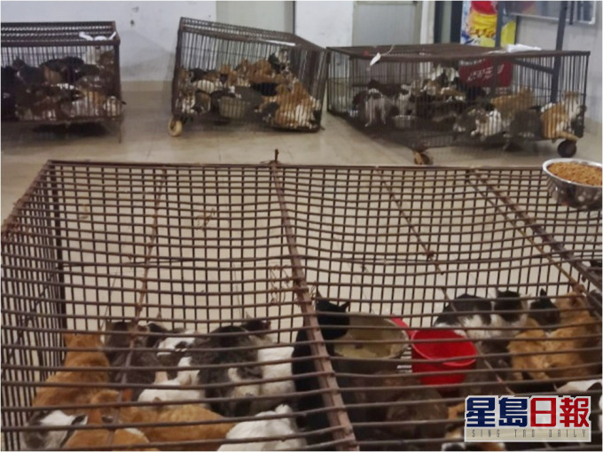 義工網上呼籲市民到場幫忙。網圖