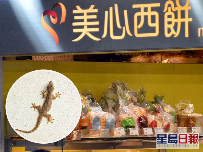 美心西餅麻糬包藏壁虎被罰款9000元。資料圖片及網圖