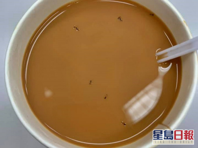 有網民有朝就發現自己那杯奶茶竟被「加料」螞蟻。網民Sonata JS圖片