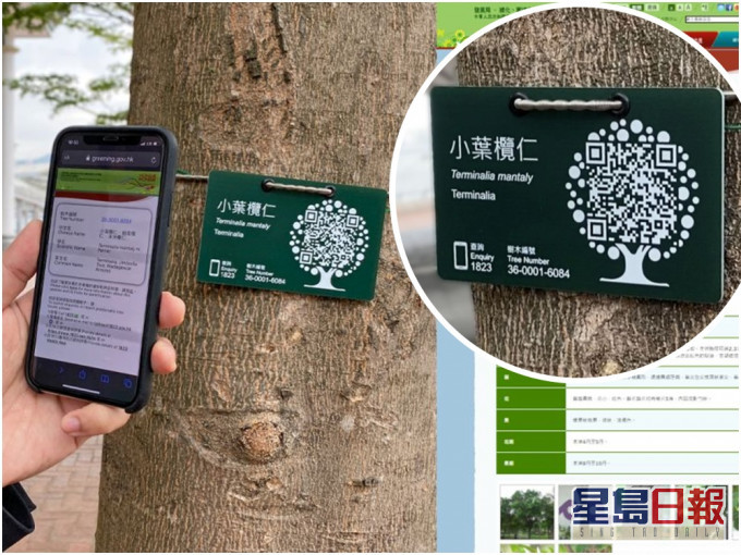 市民掃描「樹牌」上的二維條碼,便可獲取更詳盡資訊。