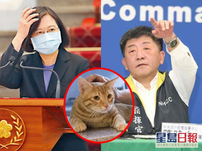 蔡英文陳時中每晚偷偷通電話，零確診時兩隻台灣第一貓可獲宵夜獎勵。資料圖片