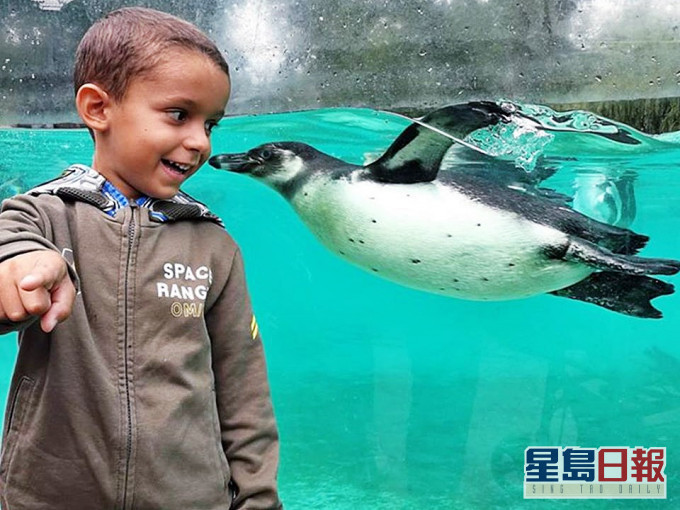 圖片來源:ZSL London Zoo facebook