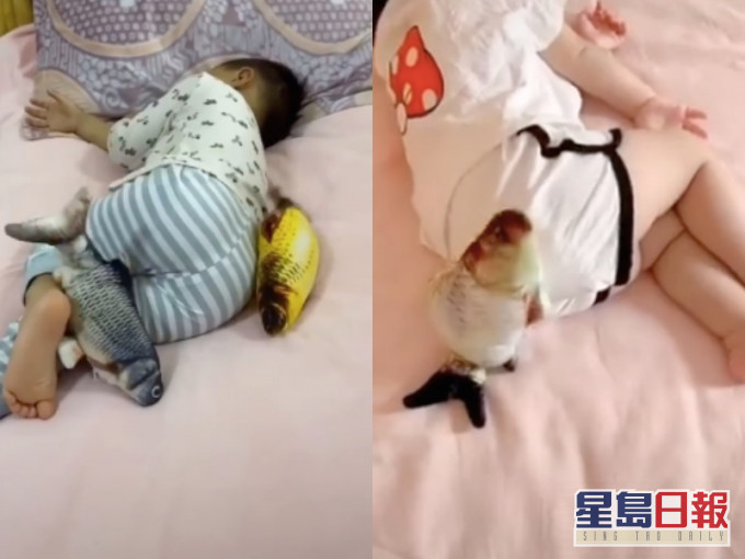 電動魚模仿拍背成「哄娃神器」。網圖