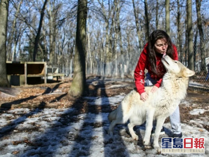 祖母皮爾森涉非法飼養狼犬。AP圖