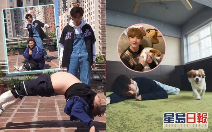 193向肥仔挑機跳舞,
Anson Lo就喺愛犬面前晒舞技。