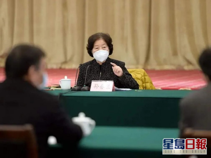 孙春兰早前在新冠疫情重灾区武汉召开会议。网图