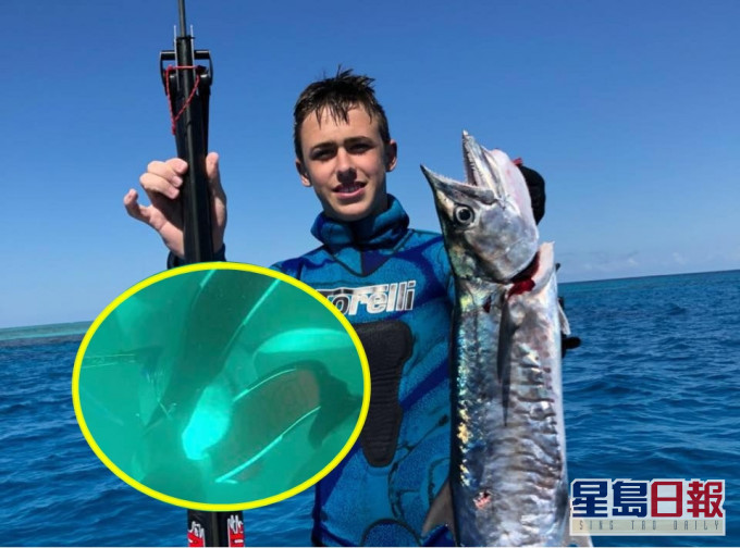 少年在潛水捕魚時,遇到一條公牛鯊突襲。「Lachlan Pye」 FB圖片