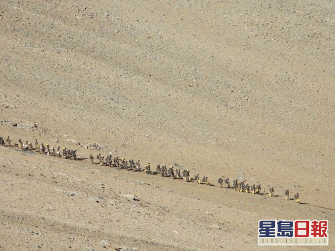 去年6月中印邊境爆發流血衝突。AP圖片