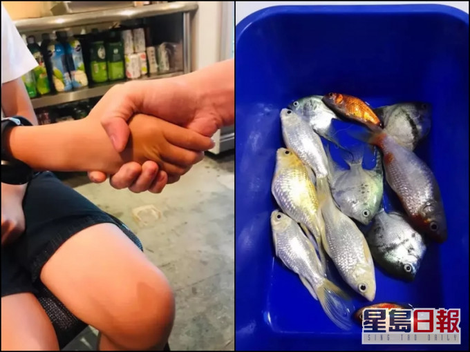 最終店主與男童握手言和。網圖