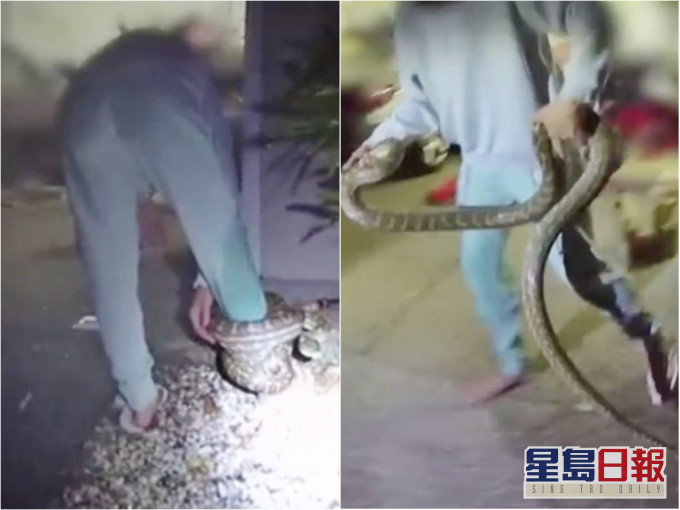 澳洲一名女子被蟒蛇緊纏右腳,場面凶險。影片截圖