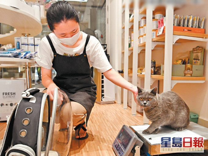 《二○一九年寵物行業白皮書》顯示,中國城鎮寵物犬貓消費市場規模達到二千億元。中新社資料圖片