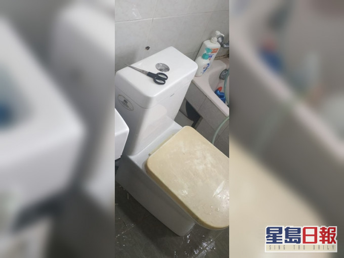 有网民发文指,其外佣疑不慎将整个坐厕拆出,甚至弄断了去污喉。Facebook「外佣雇主必看新闻讯息」图片