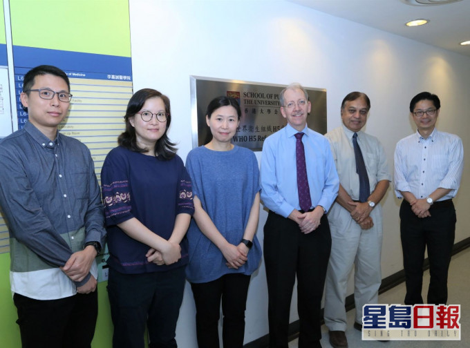 港大醫學院利用金倉鼠研究新型冠狀病毒的發病機制和傳播模式。港大圖片