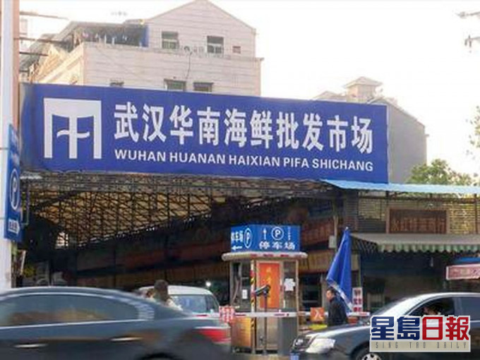 世衛專家鎖定武漢華南海鮮市場的鼬獾和兔子為新冠疫情可能源頭。(網圖)
