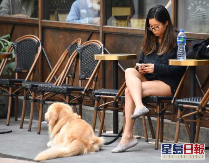 張竹君又呼籲,狗主與狗隻外出時應戴口罩。