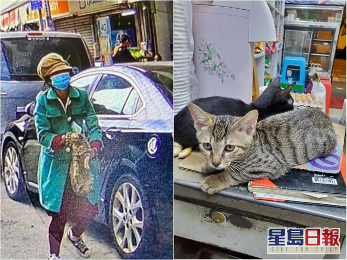 一名女子懷疑盜去深水埗店內的貓。