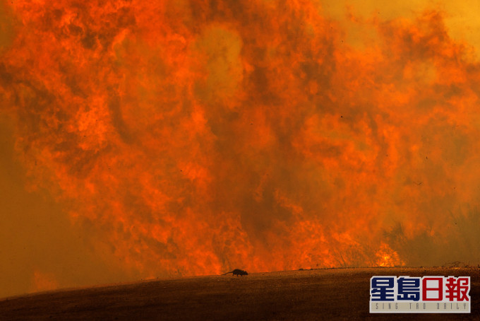 南加州山火已蔓延逾1600公顷。 AP