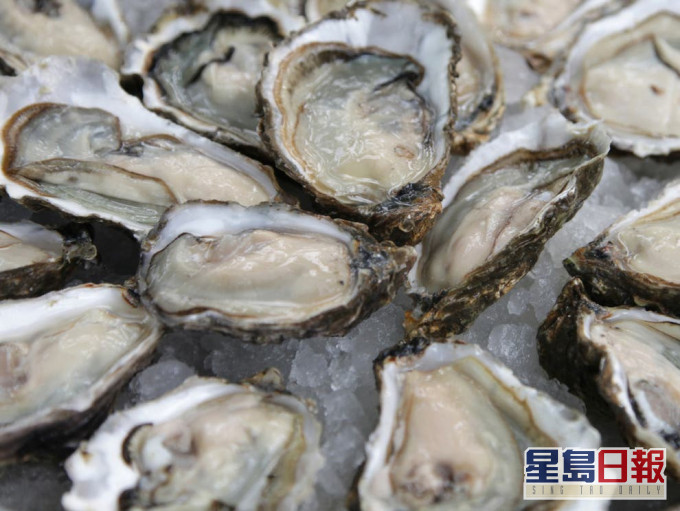 示意圖片