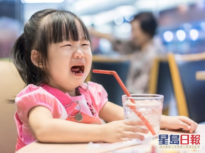 示意圖。