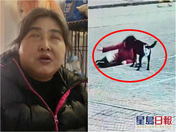 上海一名视障姨姨因遭邻居投诉,被逼带导盲犬于街外排泄,结果不时发生意外。网图