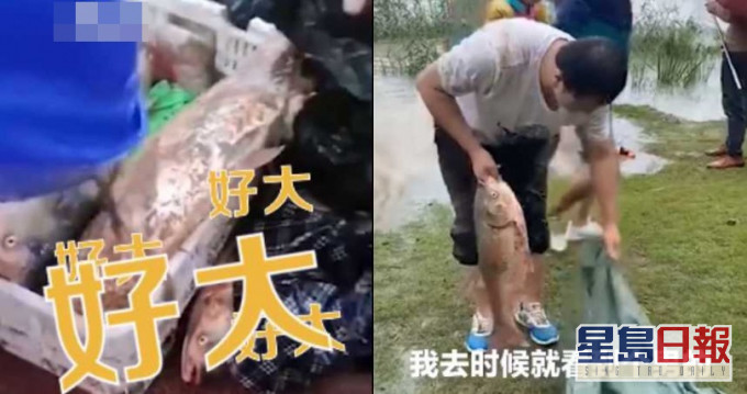现捉现买。网图