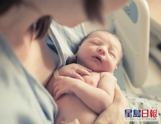 示意網圖