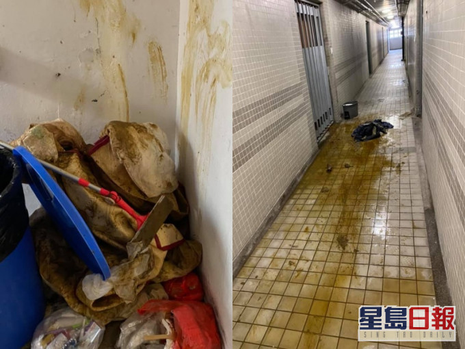 糞便周圍掉。周偉雄FB